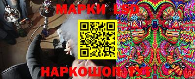 сатива Ставрополь