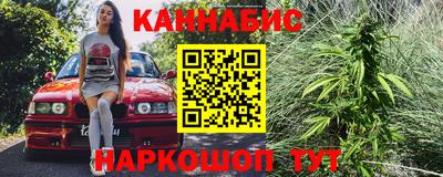 сатива Ставрополь