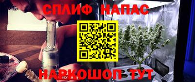 сатива Ставрополь