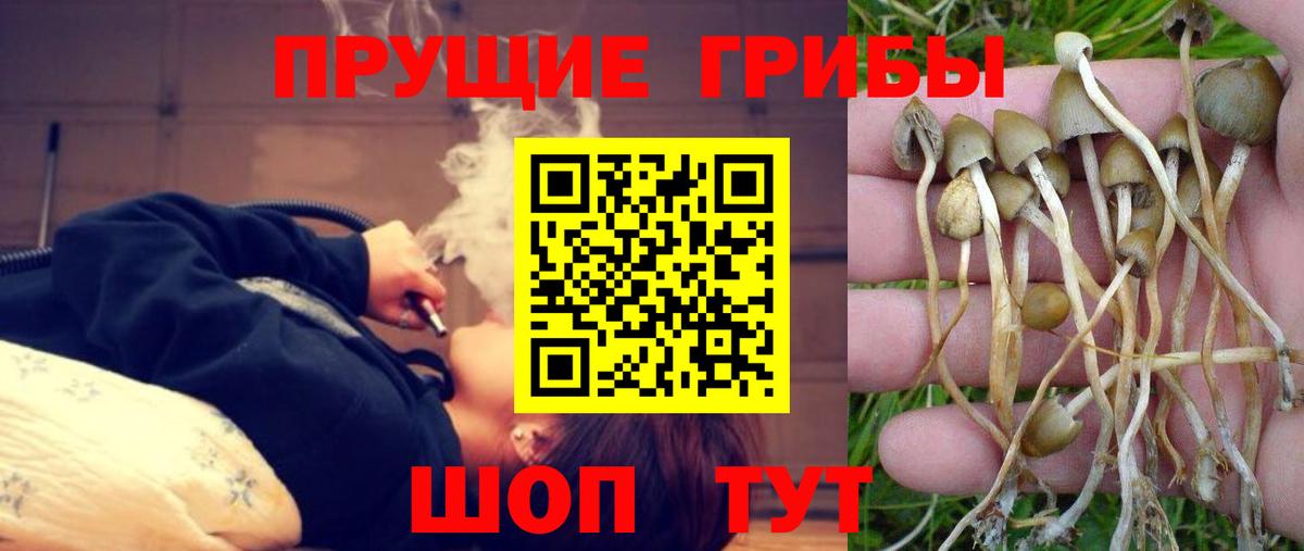 Псилоцибиновые грибы Psilocybine cubensis  Псилоцибиновые грибы Magic Shrooms  Вход с VPN  Стрежевой 